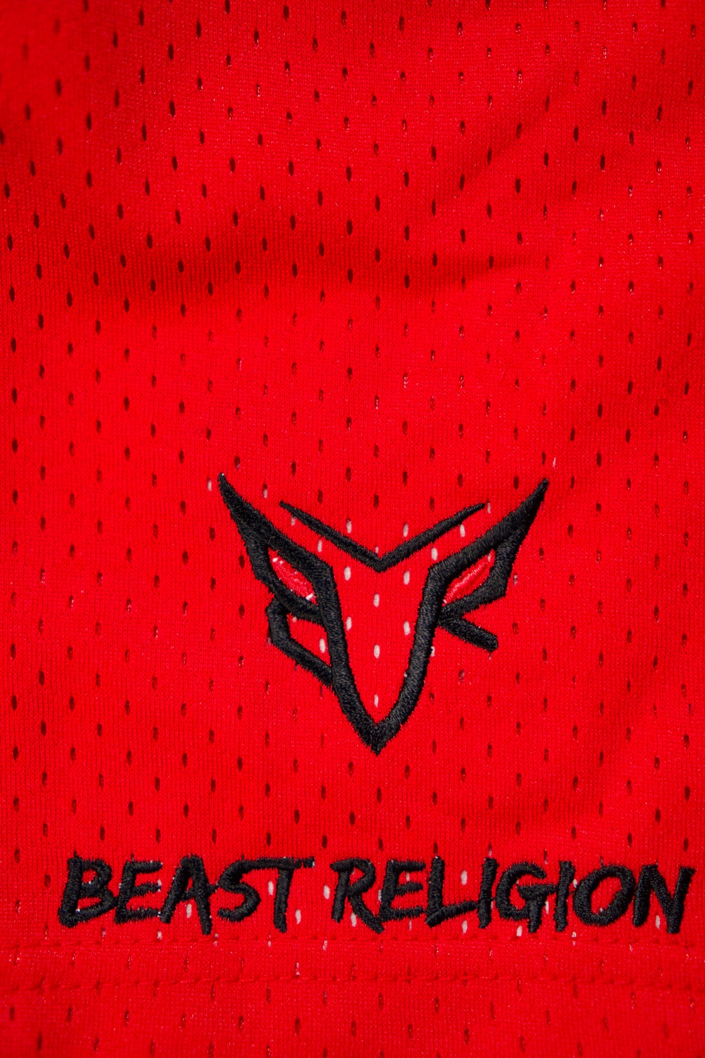 FDB III Tiger Shorts