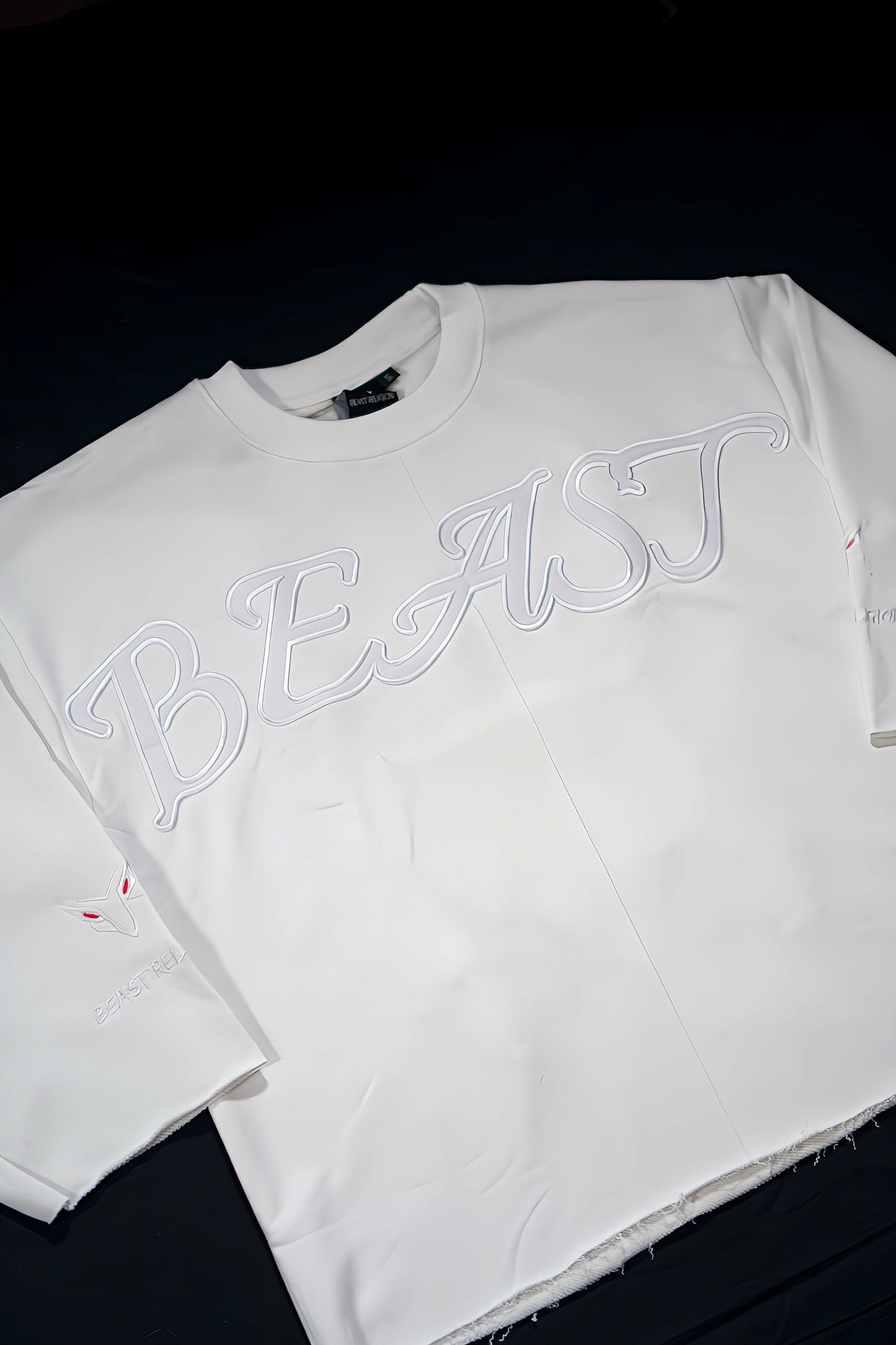 Beast Religion Oversized Cropped Tee